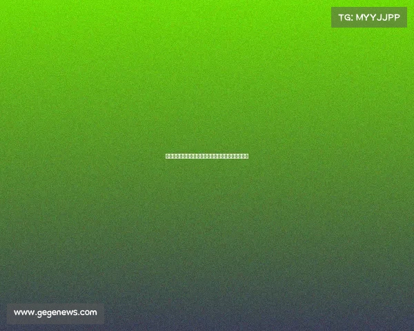 足球俱乐部球员转会与出售管理方案的优化与实践分析